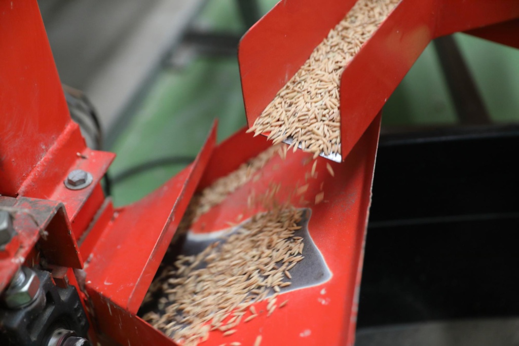 N