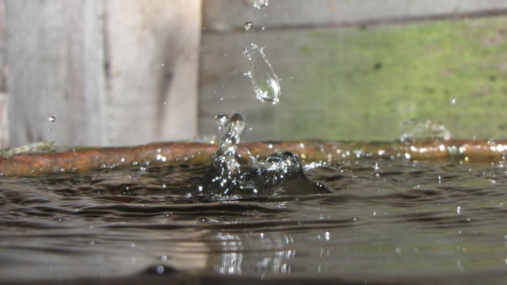 В Липецке жители дома обратились в прокуратуру из-за регулярного затопления подвала канализационными стоками