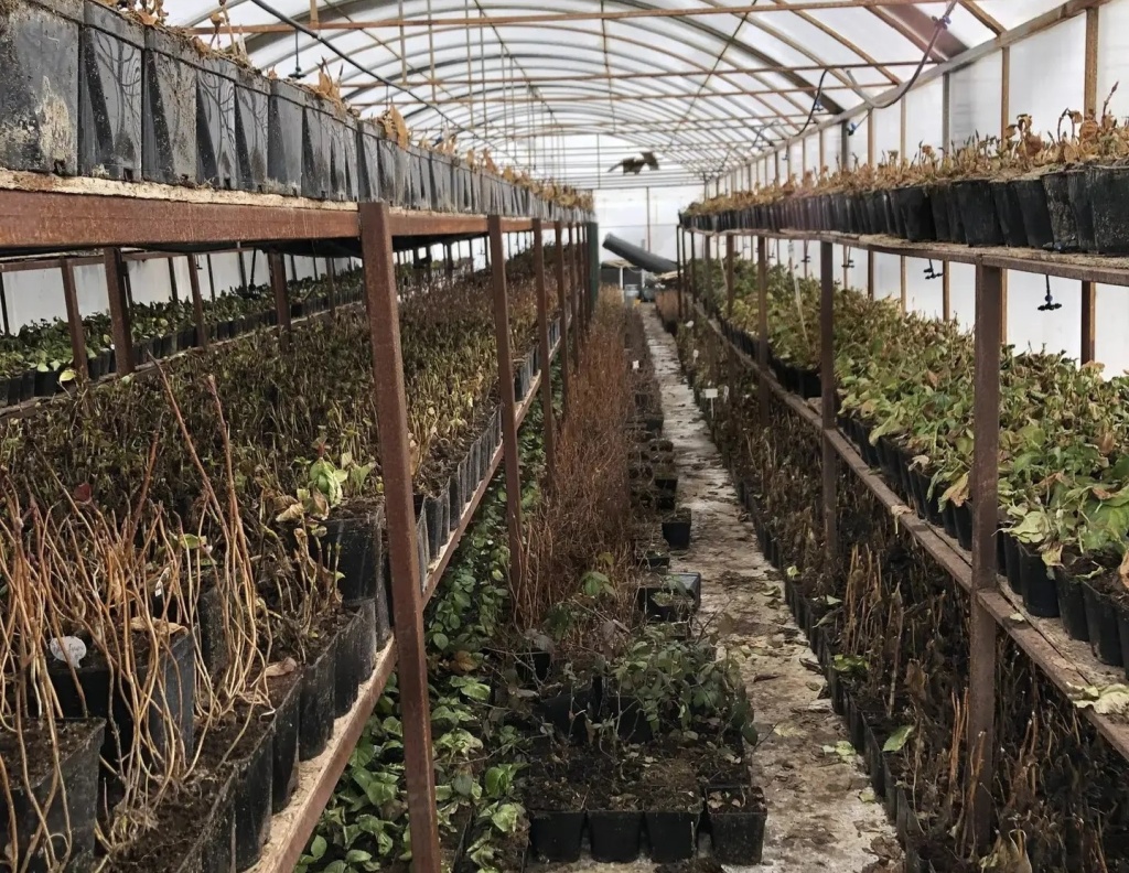 В Краснодарском крае малый и средний бизнес формирует почти треть региональной экономики