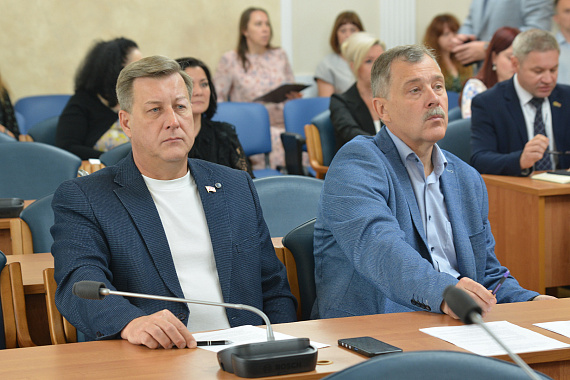 Депутаты Воронежской гордумы ищут решение, как сохранить детские площадки и не перегрузить платёжки горожан