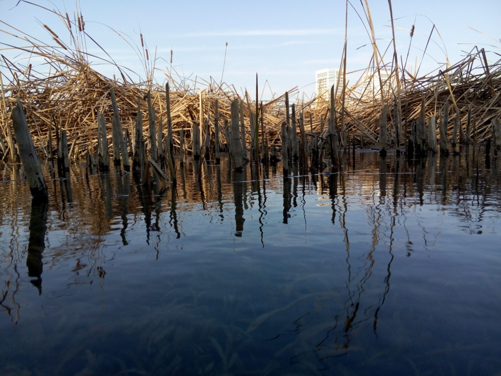 Синоптик рассказала, будут ли в Псковской области паводки