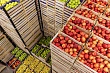 В Псковской области открыли современное фруктохранилище на 100 тонн